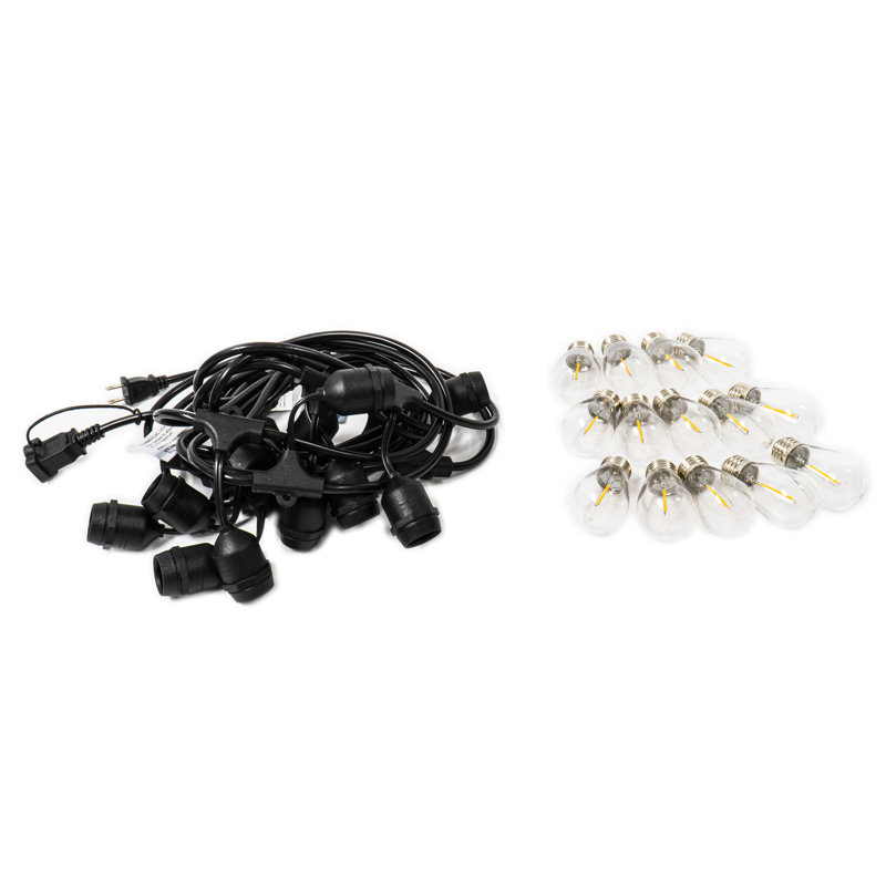 Feliciana Outdoor 12 - Bulb 24'' Plug-in LED Globe String Light