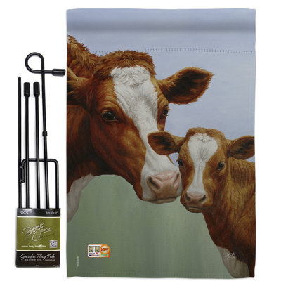 Double Sided 18.5'' H x 13'' W Polyester Flag Set