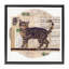 «Tabby Cat Collage» par Nancy Overton-1105406493-1092234313
