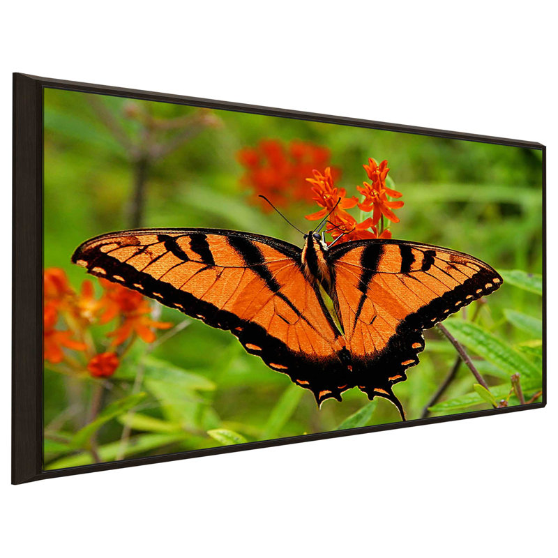 «Metallic Butterfly», reproduction de photo, H 21,5 po x l 33,5 po x P 2 po, Cadre flottant espresso
