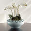 Bol décoratif Petite FLEUR
