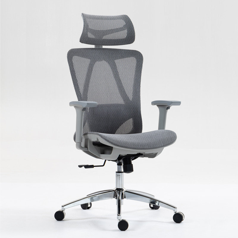 High Back Mesh Office Chair, Gray, Silver