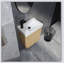 20" Wall-Mounted Bathroom Vanity with Ceramic Sink, Storage Cabinet with Doors,Bathroom Cabinet Set