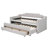 Twin Size Upholstered Daybed With Trundle And Three Drawers-1651852495
