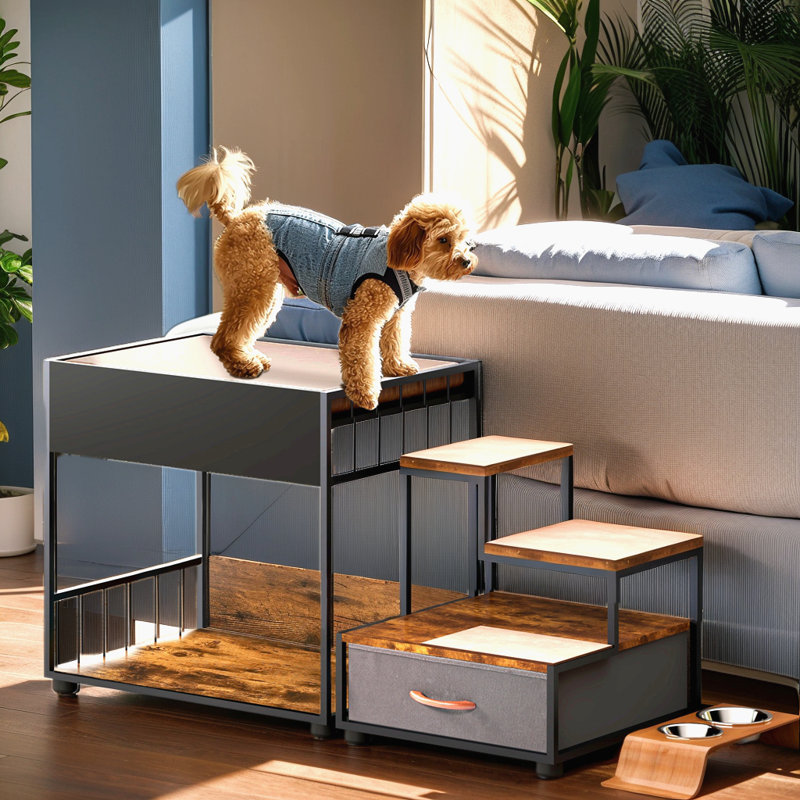 Lit superposé avec fenêtre pour perchoir pour chien