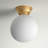 Chippewa Glass Flush Mount-1320478500-1320478501-1320478493