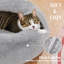 Lit pour chat rond de 24 pouces, lit en fourrure de première qualité moelleux avec fond en beignet clouté et lavable à la machine
