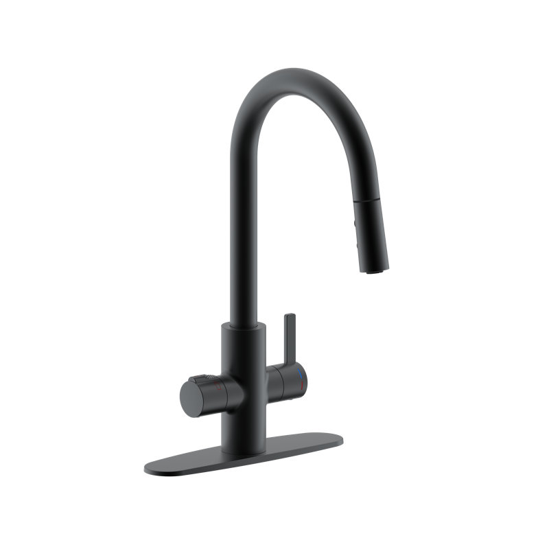 4 in 1 Single Handle Kitchen Faucet with Push Button Dual Spray Mode Pull Down Nozzle Head, Matte Black