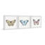 «Colorful Butterflies», ensemble de 3 reproductions d'art sur papier encadrées-1263504612