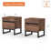 Aadam 2 Piece Modern End Table With 2 Drawers
