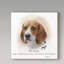 « beagle », reproduction d’impression sur toile tendue-26852963