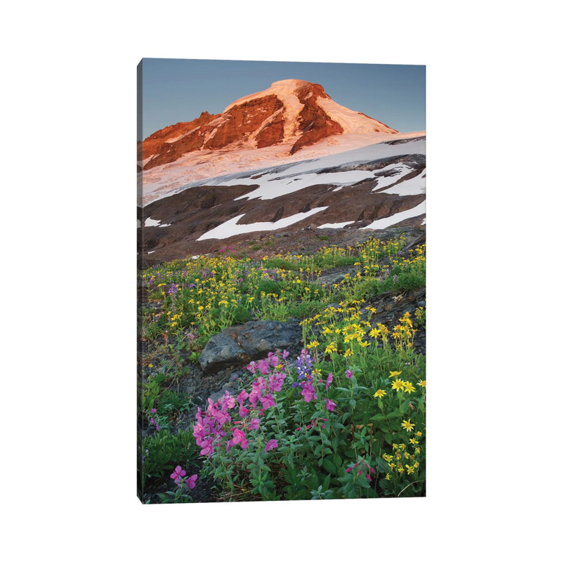 USA, Washington State. Mount Baker, seen from meadows of Heliotrope Ridge, Mount Baker Wilderness. 1 Piece Wrapped Canvas Wall Art
