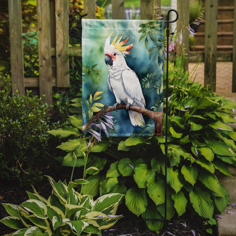 Drapeau de jardin, Cacatoès