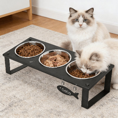 Elevated 3-Bowl Cat Feeding Station with Stainless Steel Bowls & Spill-Proof Mat, Tilted Design for Digestion