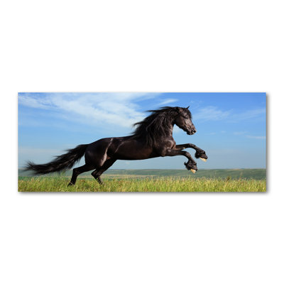 Black Horse On The Meadow - Wrapped Canvas Print