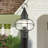 Aster Transparent Lantern Head-945988346