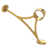 Polished Brass