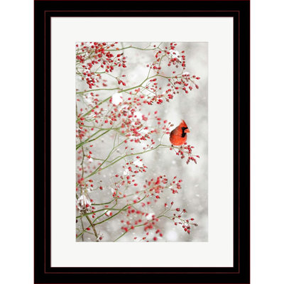 " Red Cardinal In The Red Berries " by Carrie Ann Grippo-Pike