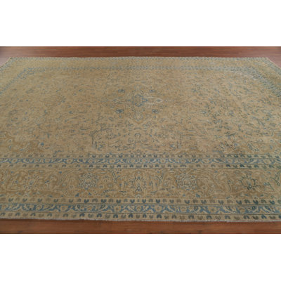 Traditional   Area Rug 9x13