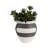 Vase de table Indrvati