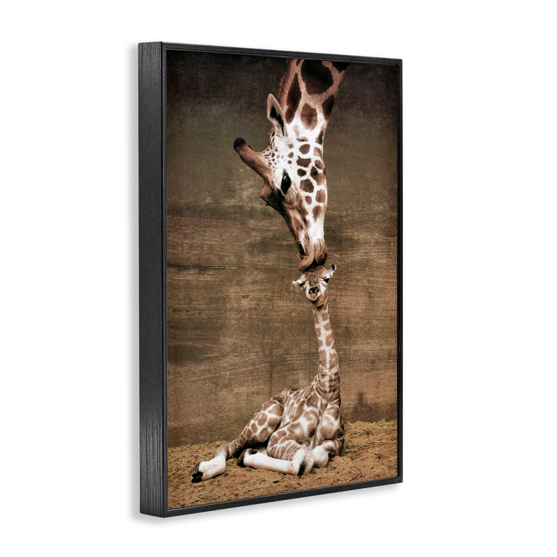 «Mother's Love Giraffes», estampe numérique, design par Inconnu, H 18 po x l 12 po, Giclée encadrée noir minuit