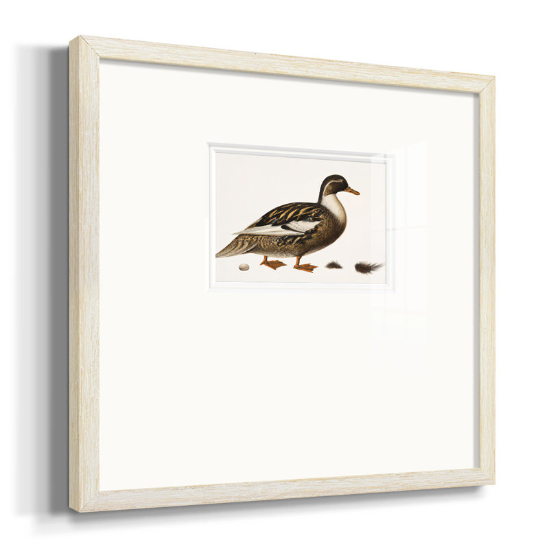 Colvert doré, H 17 po x l 17 po x P 1,25 po