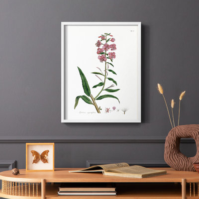 Rose Botanical I, reproduction encadrée - bois massif