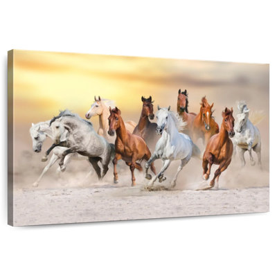 Foule de chevaux au galop