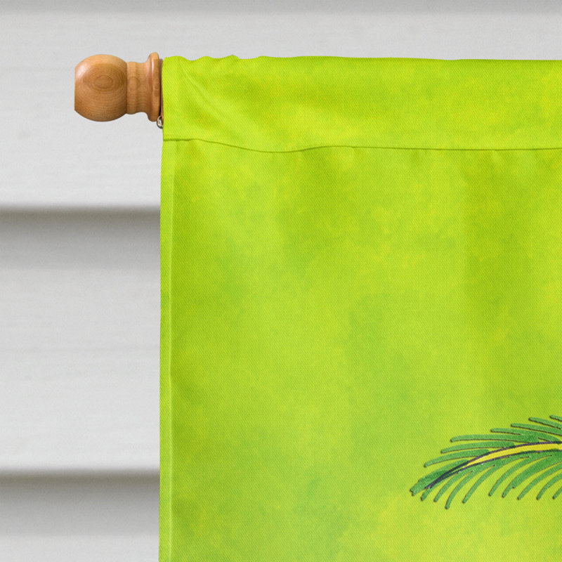 Profitez d’un polyester de 2 côtés 40 x 28 po summer drapeau maison