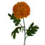 Plastic, Silk Artificial Arrangement-106401567