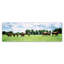 « kentucky cheval 5 », reproduction de photo sur toile tendue-14807302