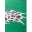 Diane Von Furstenberg Climbing Leopard Emerald Area Rug-56519671