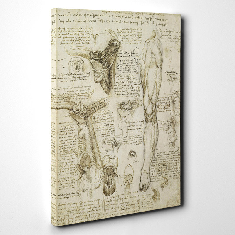Leonardo Da Vinci - Wrapped Canvas Painting, 76cm H x 50cm W