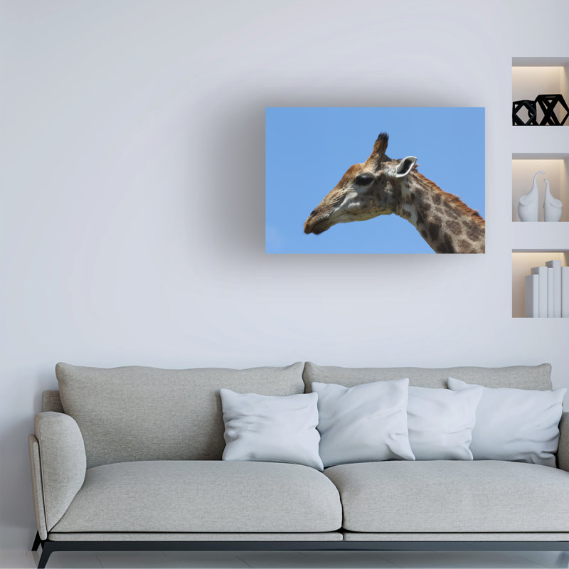 Art sur toile, bolognaise, Bob Langrish, H 12 po x l 19 po