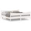 Rosalinde Solid Wood Bed-1116802799-1116802812