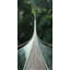 " Steep Bridge "-98694253