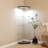 Illuminated Corner Glass Display Cabinet with 4 Shelves