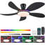 Ventilateur