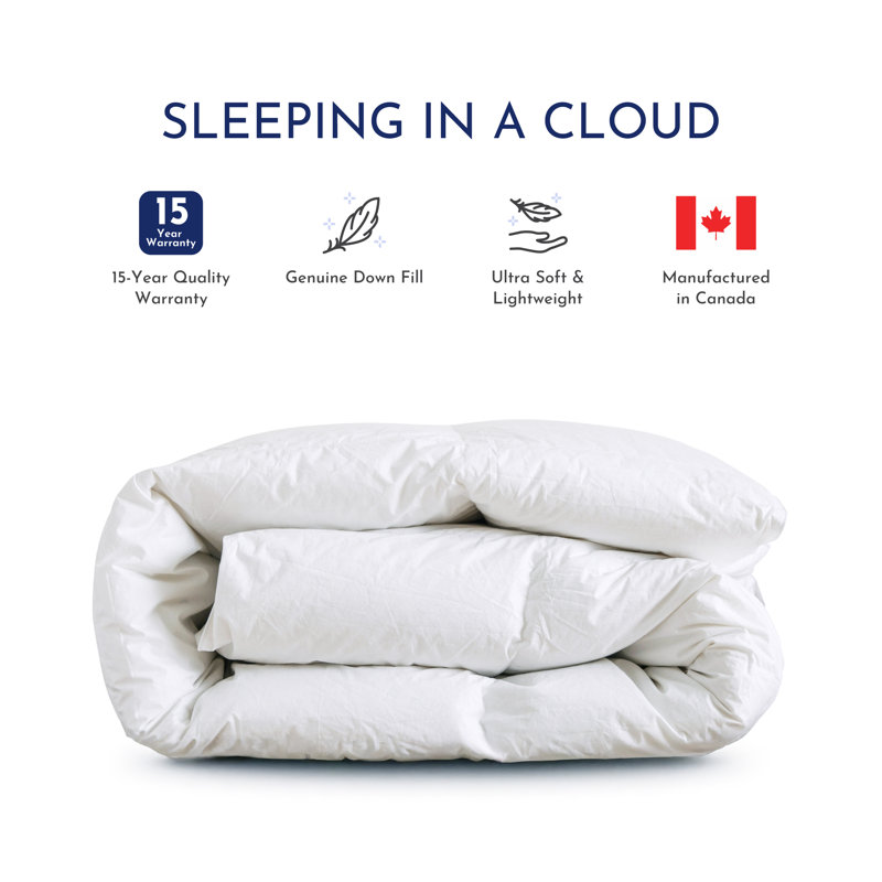 Santa Barbara Heavyweight Down Duvet Insert, Queen (45 oz)