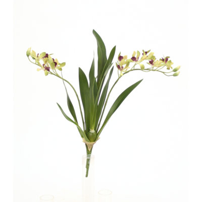 Tige d'orchidée