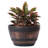 Evry Pot Planter-2122101807