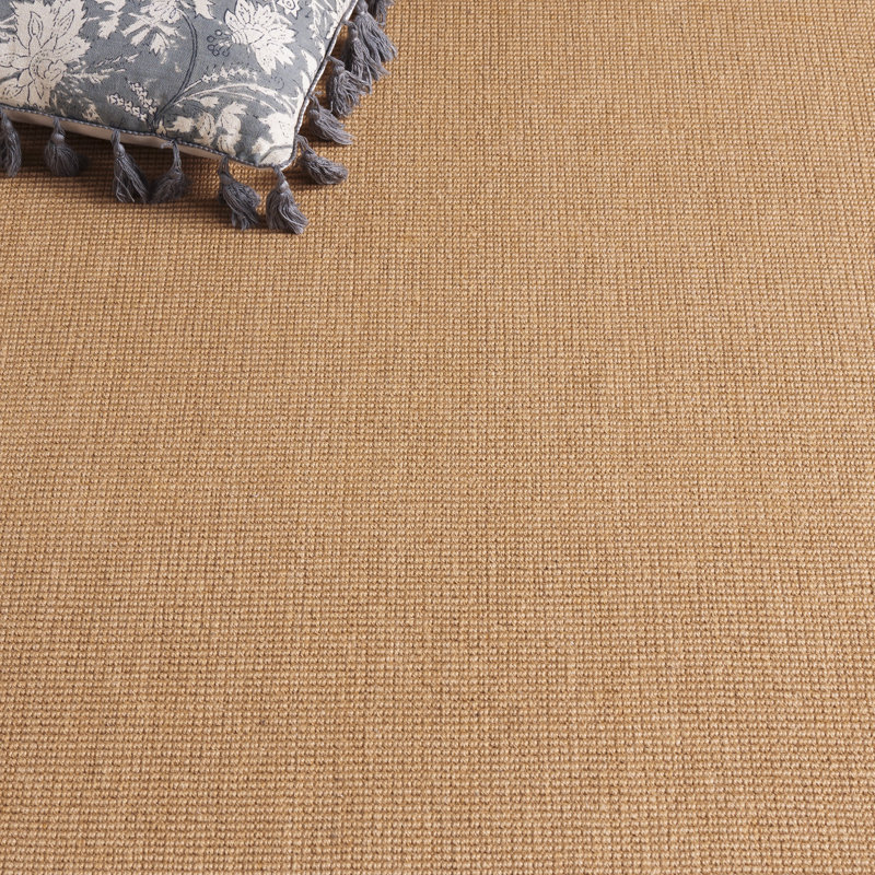 Natural Fiber Flat Weave Jute/Sisal; Latex; Cotton Solid Color Indoor Rug, Rectangle 4' x 6'