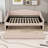 Upholstered Daybed with LED lights and a Twin Size Trundle-655625572-655625576