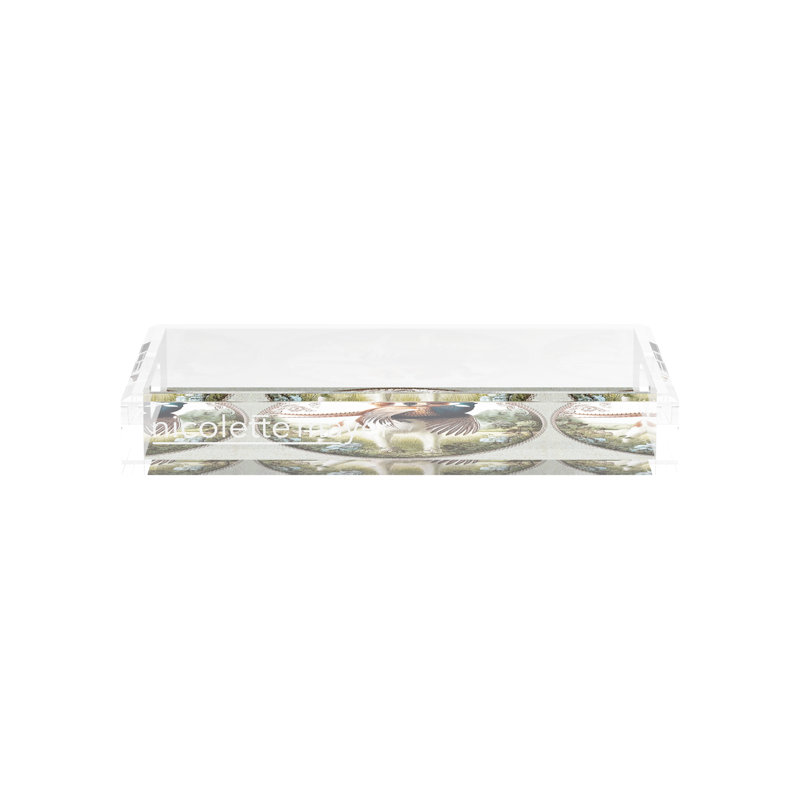 Acrylic Decorative Tray