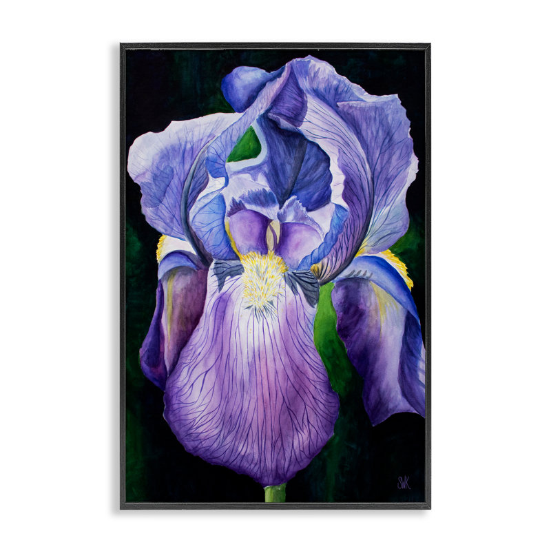 «Mauve Iris Petals», estampe numérique par Sarah Waldron Kimball, H 18 po x l 12 po, Giclée encadrée noir minuit