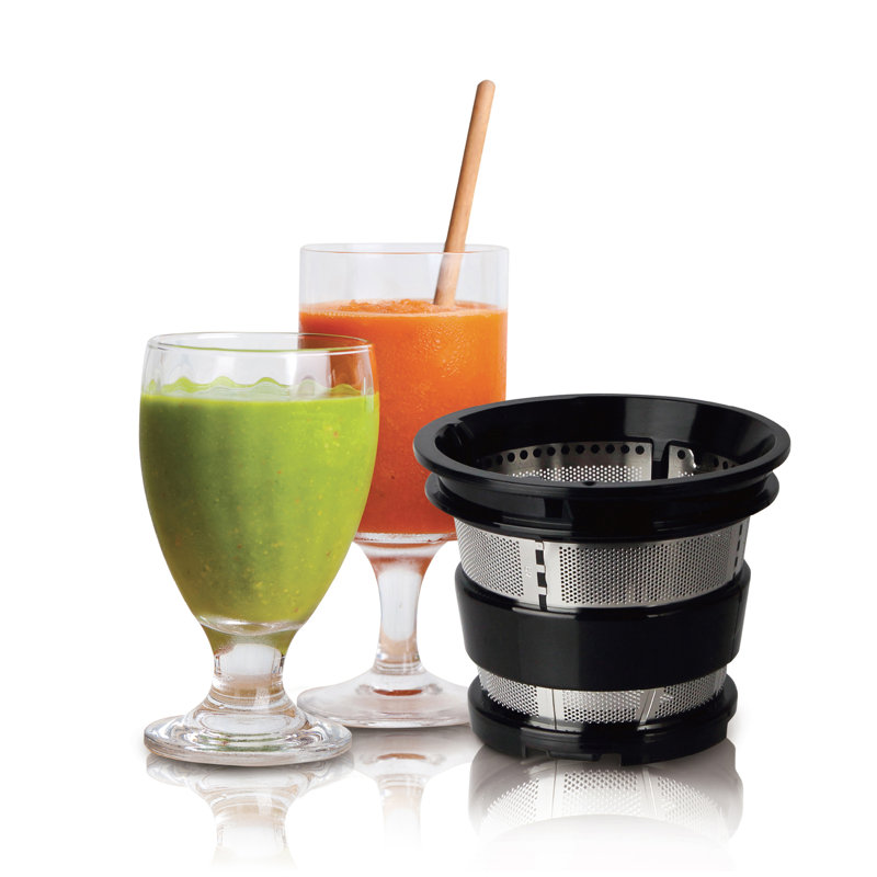 Gun Metal Slow Masticating Juicer with Leather Finish