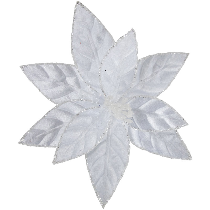 Tiges de poinsettia