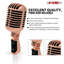 Microphone rétro dynamique à 5 cœurs emblématique de style rétro cardioïde classique-124083890
