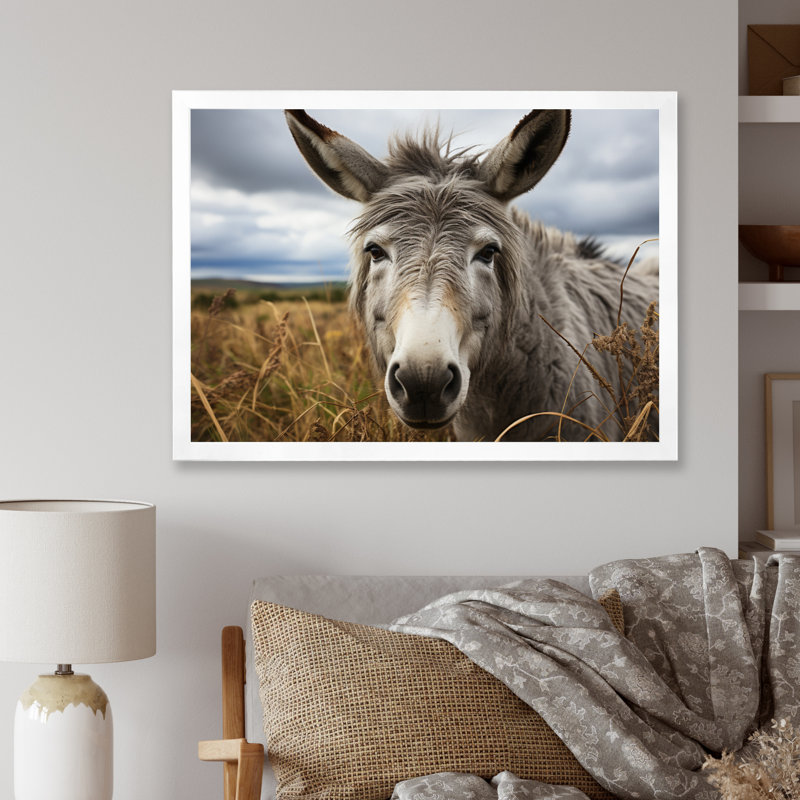«Grey Donkey Gentle Companion», reproduction sur toile, H 16 po x l 32 po x P 1 po, Cadre photo blanc