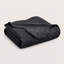 Ensemble de couvre-lit en microfibre embossée de luxe - courtepointe hypoallergénique, infroissable et résistante à la décoloration-113736008-119462736